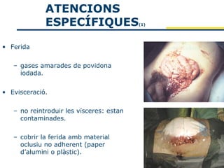 ATENCIONS
             ESPECÍFIQUES                 (1)




• Ferida


   – gases amarades de povidona
     iodada.


• Evisceració.


   – no reintroduir les vísceres: estan
     contaminades.


   – cobrir la ferida amb material
     oclusiu no adherent (paper
     d’alumini o plàstic).
 