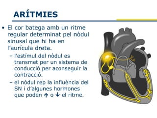 ARÍTMIES
• El cor batega amb un ritme
  regular determinat pel nòdul
  sinusal que hi ha en
  l’aurícula dreta.
  – l’estímul del nòdul es
    transmet per un sistema de
    conducció per aconseguir la
    contracció.
  – el nòdul rep la influència del
    SN i d’algunes hormones
    que poden  o  el ritme.
 