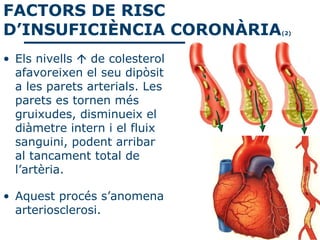 FACTORS DE RISC
D’INSUFICIÈNCIA CORONÀRIA       (2)




• Els nivells  de colesterol
  afavoreixen el seu dipòsit
  a les parets arterials. Les
  parets es tornen més
  gruixudes, disminueix el
  diàmetre intern i el fluix
  sanguini, podent arribar
  al tancament total de
  l’artèria.

• Aquest procés s’anomena
  arteriosclerosi.
 