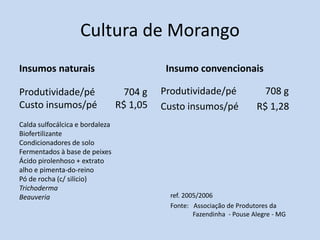 Cultura de Morango
Insumos naturais                            Insumo convencionais

Produtividade/pé                  704 g    Produtividade/pé              708 g
Custo insumos/pé                 R$ 1,05   Custo insumos/pé             R$ 1,28
Calda sulfocálcica e bordaleza
Biofertilizante
Condicionadores de solo
Fermentados à base de peixes
Ácido pirolenhoso + extrato
alho e pimenta-do-reino
Pó de rocha (c/ silicio)
Trichoderma
Beauveria                                   ref. 2005/2006
                                            Fonte: Associação de Produtores da
                                                    Fazendinha - Pouse Alegre - MG
 