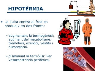 HIPOTÈRMIA

• La lluita contra el fred es
  produeix en dos fronts:

  – augmentant la termogènesi:
    augment del metabolisme:
    tremolors, exercici, vestits i
    alimentació.

  – disminuint la termòlisi: Per
    vasoconstricció perifèrica.
 
