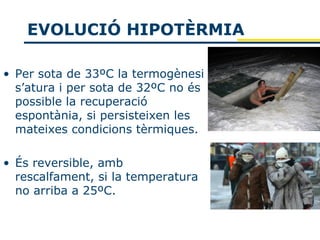 EVOLUCIÓ HIPOTÈRMIA

• Per sota de 33ºC la termogènesi
  s’atura i per sota de 32ºC no és
  possible la recuperació
  espontània, si persisteixen les
  mateixes condicions tèrmiques.

• És reversible, amb
  rescalfament, si la temperatura
  no arriba a 25ºC.
 