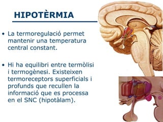HIPOTÈRMIA

• La termoregulació permet
  mantenir una temperatura
  central constant.

• Hi ha equilibri entre termòlisi
  i termogènesi. Existeixen
  termoreceptors superficials i
  profunds que recullen la
  informació que es processa
  en el SNC (hipotàlam).
 