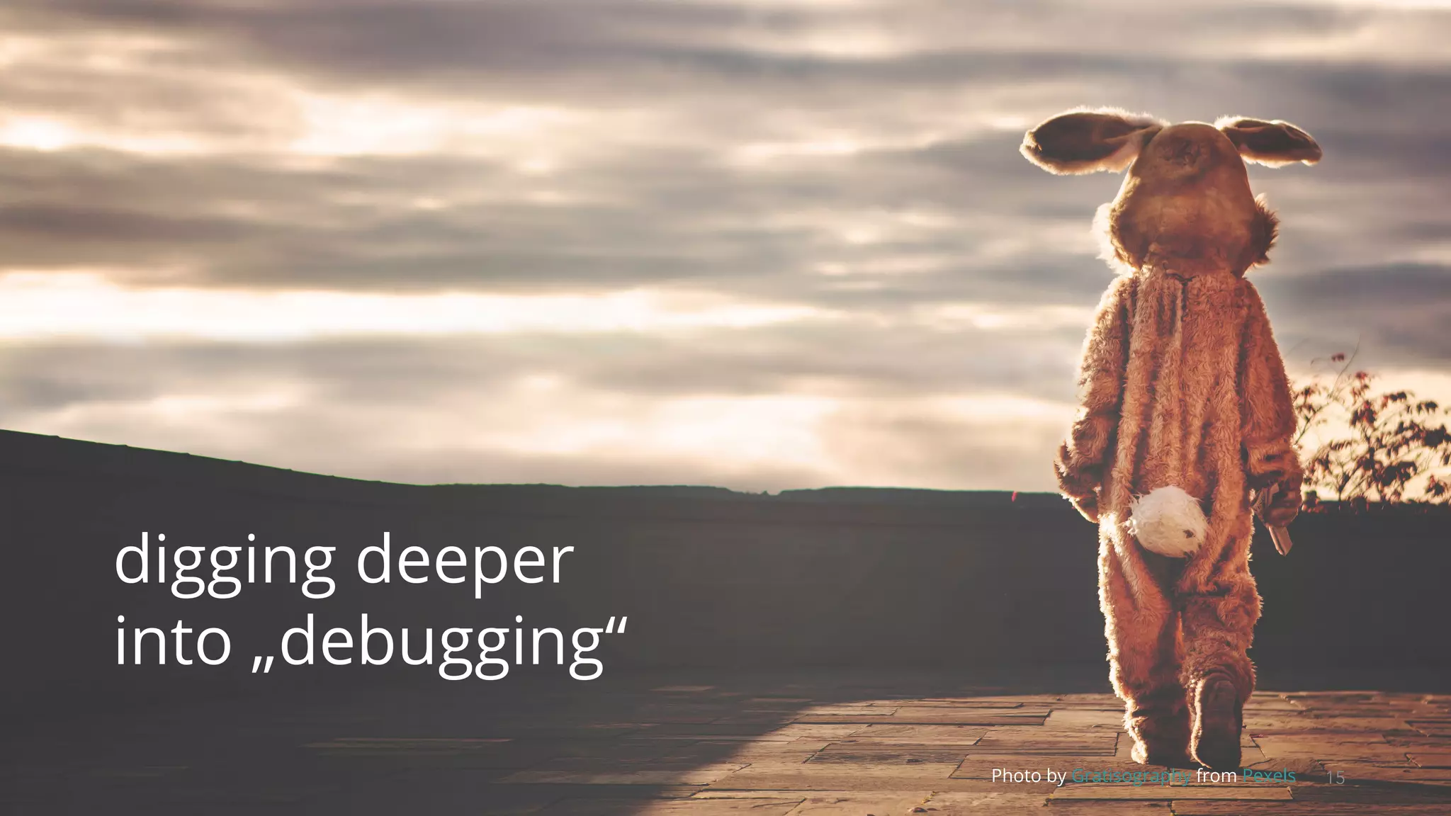 15Photo by Gratisography from Pexels
digging deeper
into „debugging“
 