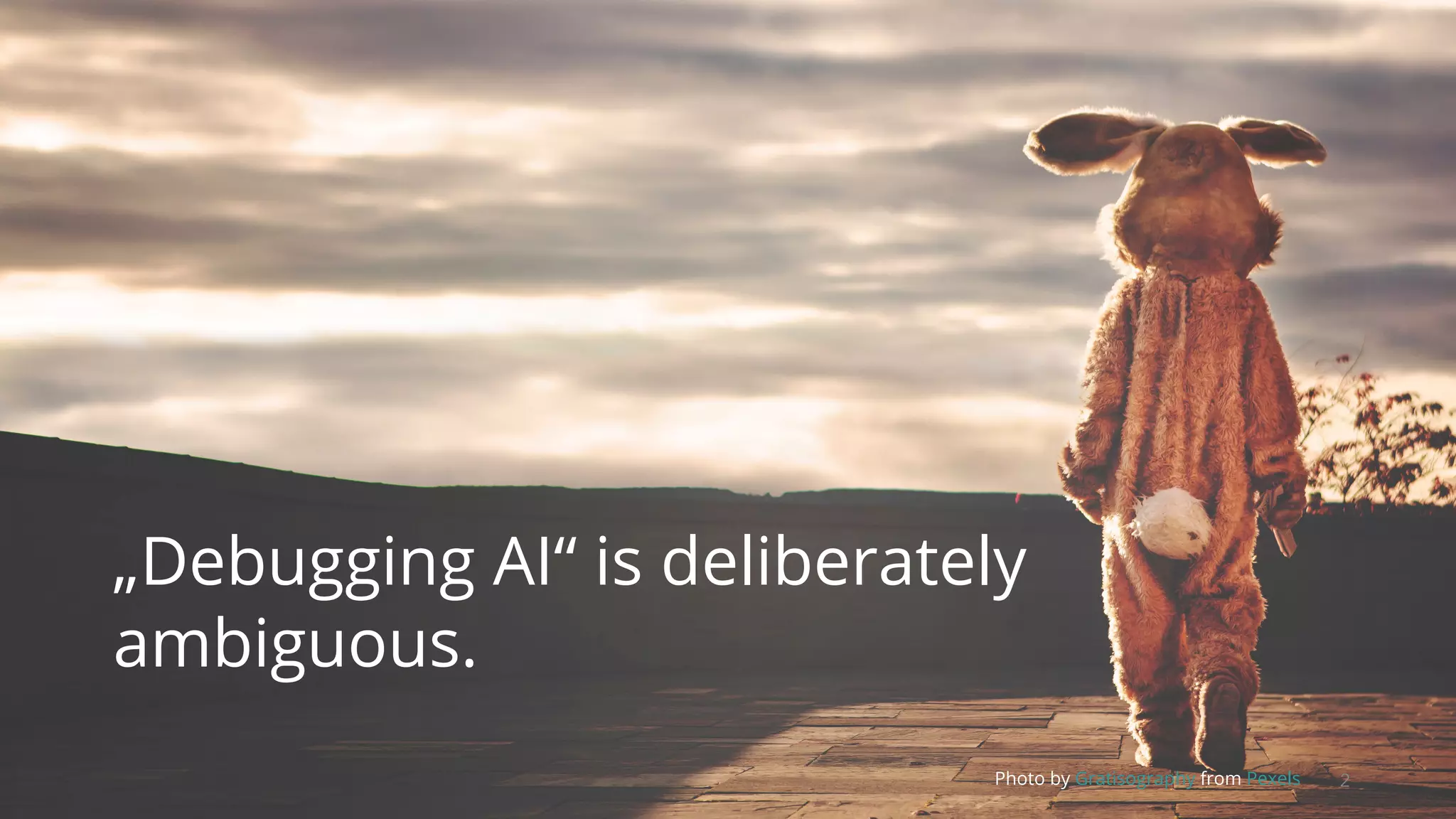 2Photo by Gratisography from Pexels
„Debugging AI“ is deliberately
ambiguous.
 