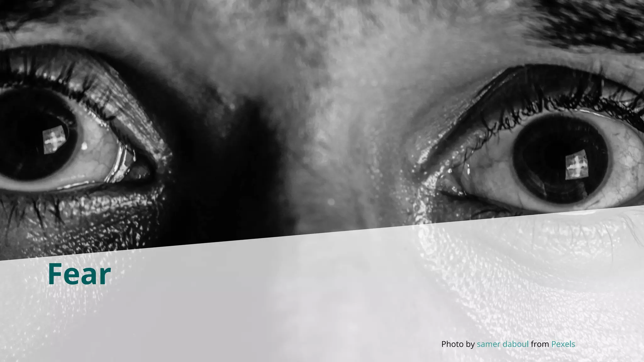9
Fear
Photo by samer daboul from Pexels
 