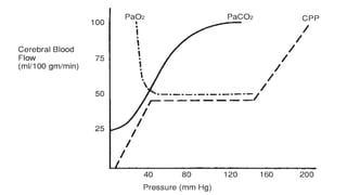 Cerebral blood flow autoregulation and brain energy metabolism | PPTX
