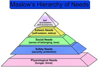 Maslow’s Hierarchy of Needs
Esteem Needs
(self-esteem, status)
Social Needs
(sense of belonging, love)
Safety Needs
(security, protection)
Physiological Needs
(hunger, thirst)
Self
Actualization
(Self-development)
 