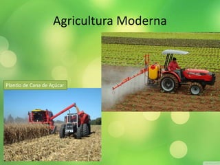 Agricultura Moderna 
Plantio de Cana de Açúcar 
 