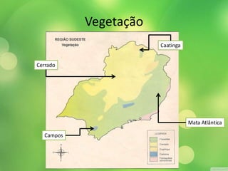 Vegetação 
Cerrado 
Mata Atlântica 
Caatinga 
Campos 
 