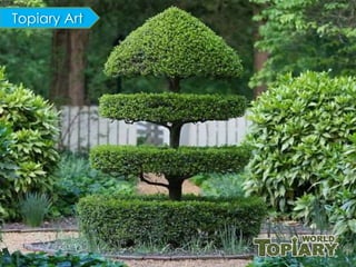 Topiary Python Topiary World Egypt | PDF
