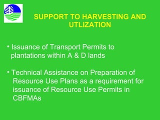 Cbfm and bamboo industry | PPT