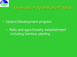 Cbfm and bamboo industry | PPT