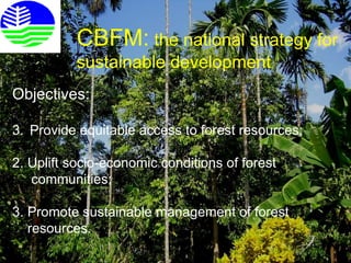 Cbfm Background Lettering Cbfm and bamboo industry | PPT