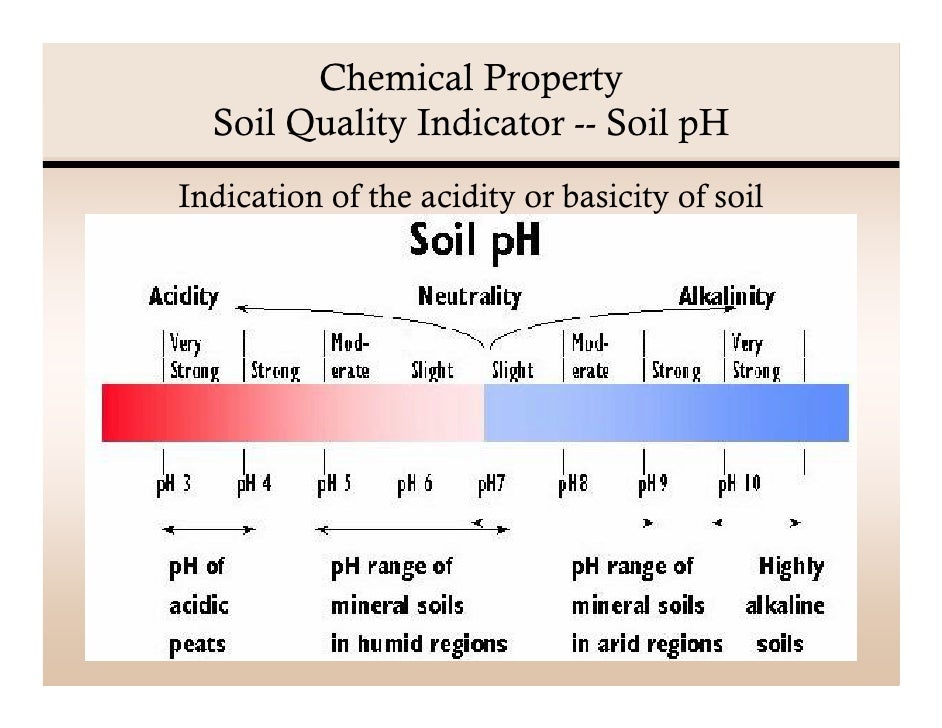 Is Basicity A Chemical Property Is Basicity A Chemical Property