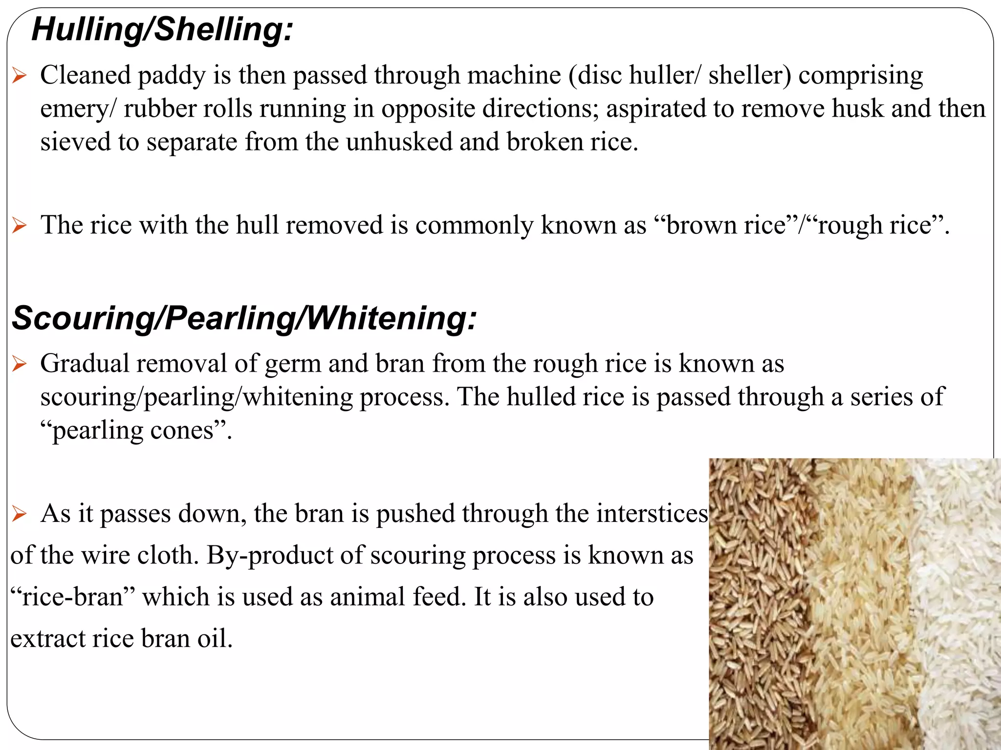 PROCESSING OF RICE - FOOD TECH | PPTX
