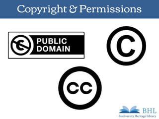 Copyright & Permissions
 