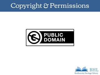 Copyright & Permissions
 