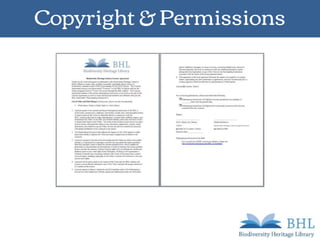 Copyright & Permissions
 