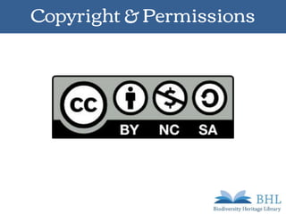 Copyright & Permissions
 