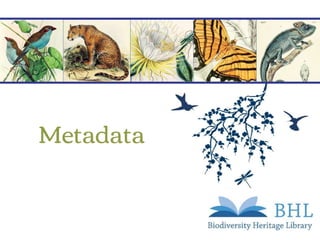 Metadata
 
