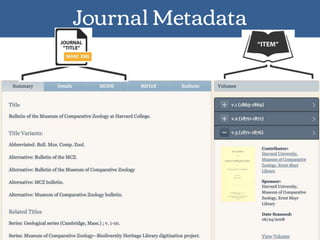 Journal Metadata
 