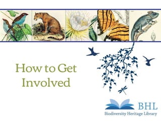 How to Get
Involved
 