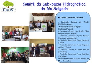 Comitê da Sub-bacia Hidrográfica
do Rio Salgado
• Criou 09 Comissões Gestoras:
- Comissão Gestora do Açude
Ubaldinho (Cedro);
- Comissão Gestora do Açude
Cachoeira (Aurora);
- Comissão Gestora do Açude Olho
D’água (Várzea Alegre);
- Comissão Gestora do Açude Rosário
(Lavras da Mangabeira);
- Comissão Gestora da Fonte Batateira
(Crato);
- Comissão Gestora da Fonte Engenho
da Serra (Crato);
- Comissão Gestora da Fonte do Céu
(Barbalha);
- Comissão Gestora da Fonte Guaribas
(Barbalha);
- Comissão Gestora da Fonte Riacho do
Meio (Barbalha);
 