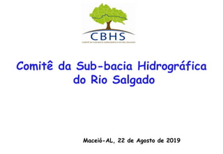 Comitê da Sub-bacia Hidrográfica
do Rio Salgado
Maceió-AL, 22 de Agosto de 2019
 