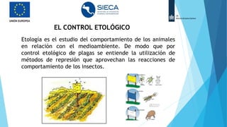 EL CONTROL ETOLÓGICO
Etología es el estudio del comportamiento de los animales
en relación con el medioambiente. De modo que por
control etológico de plagas se entiende la utilización de
métodos de represión que aprovechan las reacciones de
comportamiento de los insectos.
 