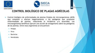  Control biológico de enfermedades de plantas Empleo de microorganismos (ACB)
que compiten o afectan negativamente a los patógenos que ocasionan
enfermedades de plantas, reduciendo la incidencia y/o severidad. Los
microorganismos benéficos ejercen una acción de antagonismo sobre los patógenos
de las plantas. Entre esos organismos se encuentran:
 Hongos
 Virus
 Bacterias
 Nemátodos
CONTROL BIOLÓGICO DE PLAGAS AGRÍCOLAS
 