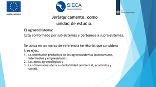 Jerárquicamente, como
unidad de estudio.
El agroecosistema:
Está conformado por sub-sistemas y pertenece a supra-sistemas.
•
–
Se ubica en un marco de referencia territorial que considera
tres ejes:
1. La orientación productiva de los agroecosistemas (autoconsumo,
intermedios y empresariales);
2. Las zonas agroecológicas y
3. Las dimensiones de la sustentabilidad (ambiental, económica y
social).
 
