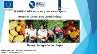 SEMINARIO WEB Nutrición y protección agraria
Proyecto: “Conectando Centroamérica”
Manejo integrado de plagas
Presentado por: Wilfredo Olivera Alvarado.
Fecha: 2 de mayo del 2022
 
