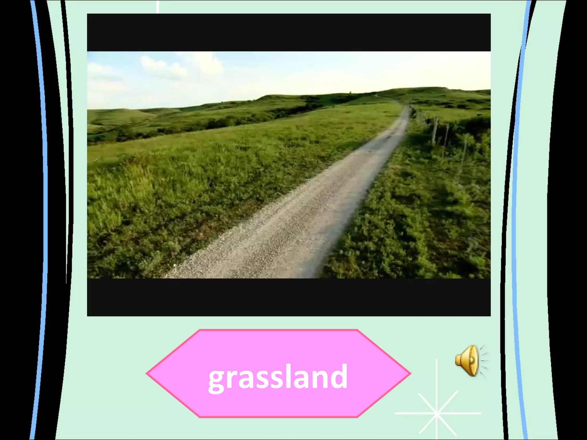 grassland 