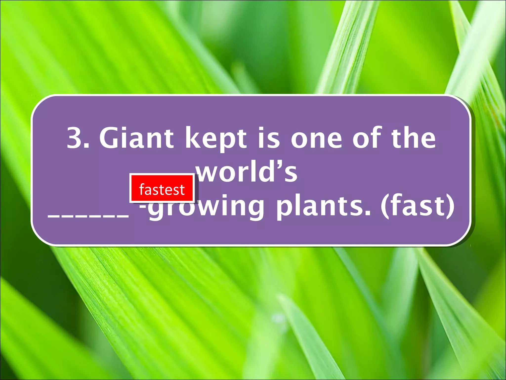 3. Giant kept is one of the
  3. Giant kept is one of the
       fastest
                world’s
                world’s
        fastest
______ -growing plants. (fast)
______ -growing plants. (fast)
 