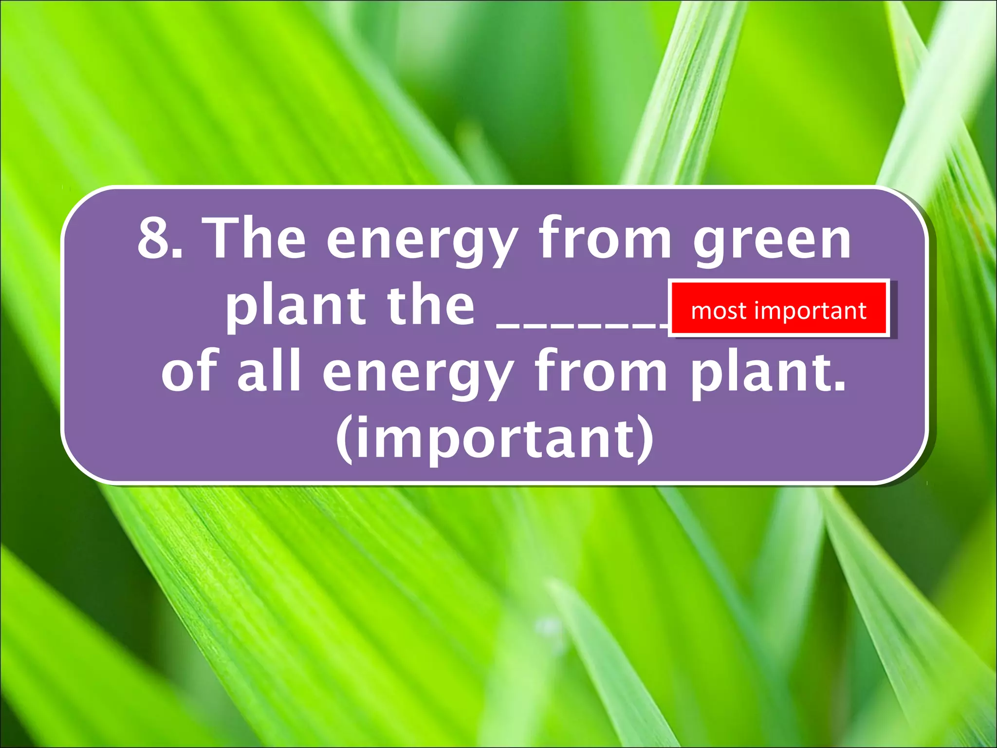 8. The energy from green
8. The energy from green
    plant the __________important
    plant the __________
                     most important
                      most

 of all energy from plant.
 of all energy from plant.
        (important)
         (important)
 