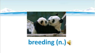 breeding (n.)

 