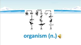 organism (n.)

 