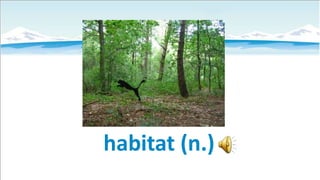 habitat (n.)

 