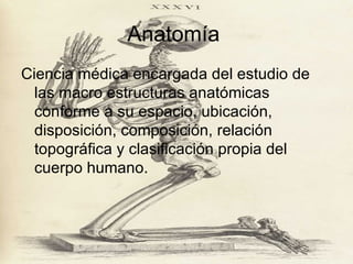 Anatomía  Ciencia médica encargada del estudio de las macro estructuras anatómicas conforme a su espacio, ubicación, disposición, composición, relación topográfica y clasificación propia del cuerpo humano. 