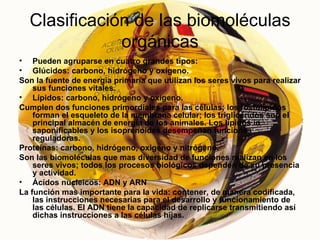 Clasificación de las biomoléculas orgánicas Pueden agruparse en cuatro grandes tipos: Glúcidos: carbono, hidrógeno y oxígeno. Son la fuente de energía primaria que utilizan los seres vivos para realizar sus funciones vitales. Lípidos: carbono, hidrógeno y oxígeno. Cumplen dos funciones primordiales para las células; los fosfolipidos forman el esqueleto de la membrana celular; los triglicéridos son el principal almacén de energía de los animales. Los lípidos in saponificables y los isoprenoides desempeñan funciones reguladoras. Proteínas: carbono, hidrógeno, oxigeno y nitrógeno. Son las biomoléculas que mas diversidad de funciones realizan en los seres vivos; todos los procesos biológicos dependen de su presencia y actividad.  Ácidos nucleicos: ADN y ARN La función mas importante para la vida: contener, de manera codificada, las instrucciones necesarias para el desarrollo y funcionamiento de las células. El ADN tiene la capacidad de replicarse transmitiendo así dichas instrucciones a las células hijas. 