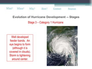 What?   When?      Why?      How?      Contact     Sources


    Evolution of Hurricane Development -- Stages
                  Stage 3 – Category 1 Hurricane



    Well developed
   feeder bands. An
  eye begins to form
     (although it is
  covered in clouds).
  Storm is tightening
     around center.
 