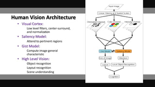 Human Vision Architecture
• Visual Cortex:
– Low level ﬁlters, center-surround,
and normalization
• Saliency Model:
– Attend to pertinent regions
• Gist Model:
– Compute image general
characteristic
• High Level Vision:
– Object recognition
– Layout recognition
– Scene understanding
 