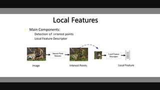 • Main Components:
– Detection of interest points
– Local Feature Descriptor
Local Features
Image Interest Points Local Feature
 