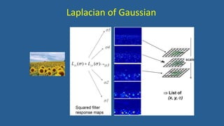 Laplacian of Gaussian
 