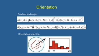 Orientation
Gradient and angle:
2 2
m(x, y)  L(x 1, y)  L(x 1, y) L(x, y 1)  L(x, y 1)
(x, y)  tan1
L(x, y 1) L(x, y 1)/ L(x 1, y)  L(x 1, y)
Orientation selection
 