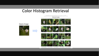 Color Histogram Retrieval
 