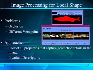 Image Processing for Local Shape
• Problems
– Occlusion
– Different Viewpoint
• Approaches
– Collect all properties that capture geometric details in the
image.
– Invariant Descriptors.
 