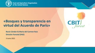 «Bosques y transparencia en
virtud del Acuerdo de París»
División Forestal (FAO)
Rocío Cóndor & Maria del Carmen Ruiz
3 Junio 2021
 