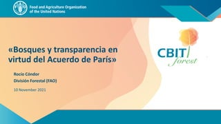 «Bosques y transparencia en
virtud del Acuerdo de París»
División Forestal (FAO)
Rocío Cóndor
10 November 2021
 